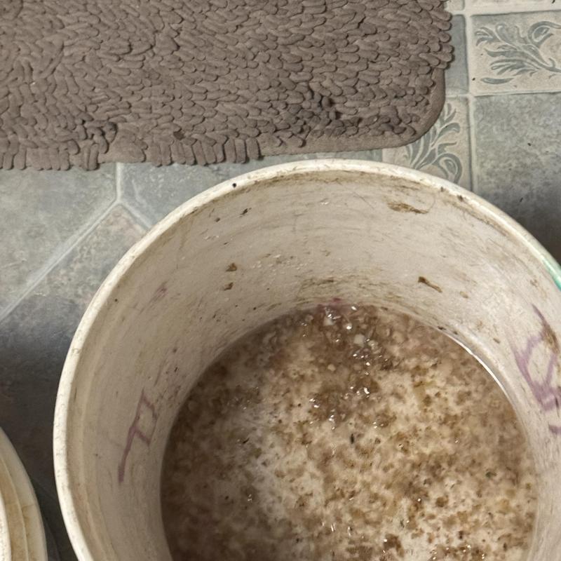 Garbage disposal clogged with potato skins debris in bucket