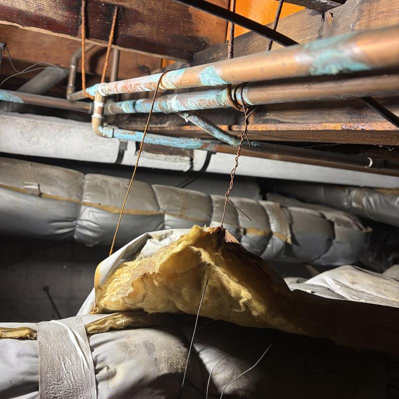 Corroded copper water pipes under basement ceiling