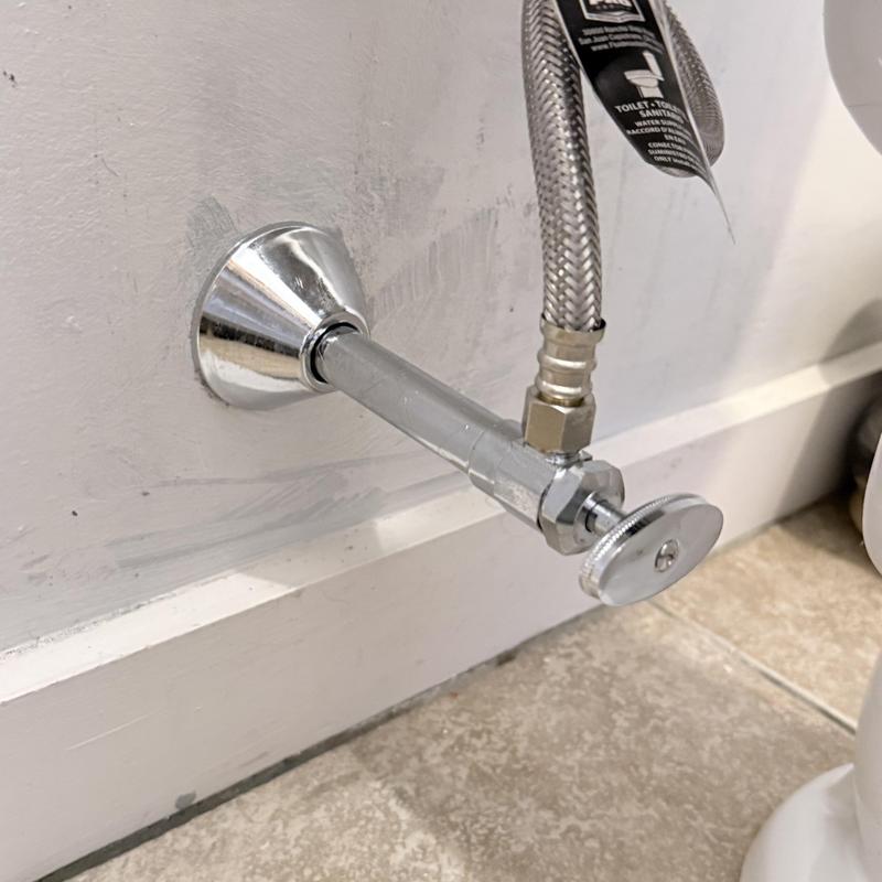 Emergency shut-off valve with braided hose connection