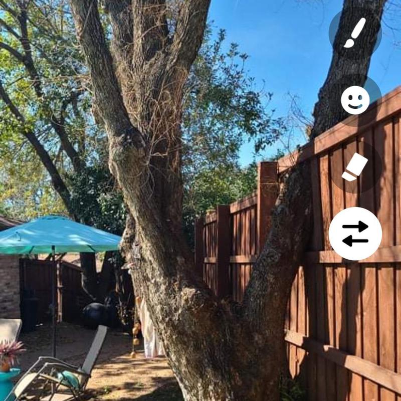 Pin Photo