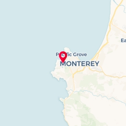 Check-in Location