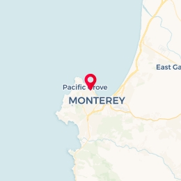 Check-in Location