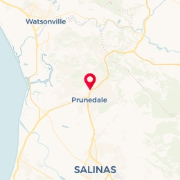 Check-in Location