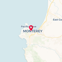 Check-in Location