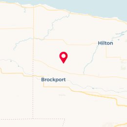 Check-in Location