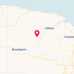 Check-in Location