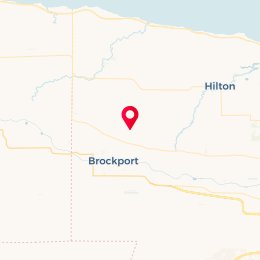 Check-in Location