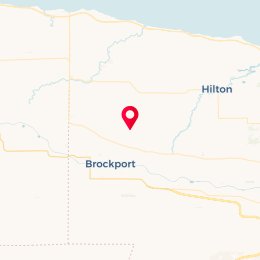 Check-in Location