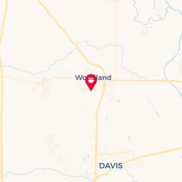 Check-in Location