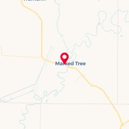 Check-in Location