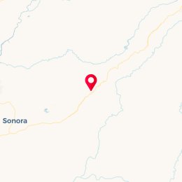 Check-in Location