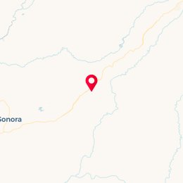 Check-in Location