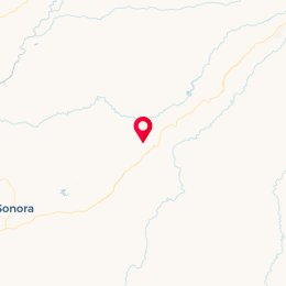 Check-in Location