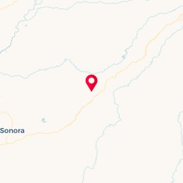 Check-in Location