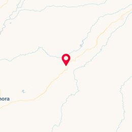 Check-in Location