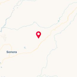 Check-in Location