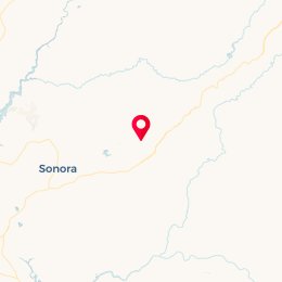 Check-in Location