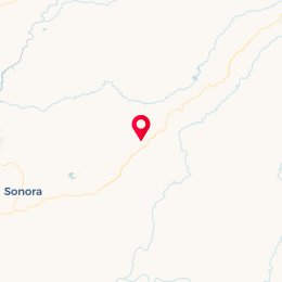 Check-in Location