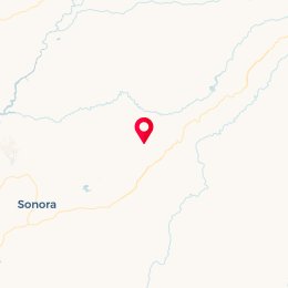 Check-in Location