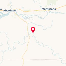 Check-in Location