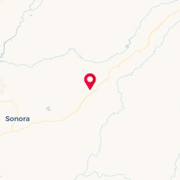 Check-in Location