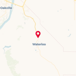Check-in Location