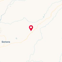Check-in Location