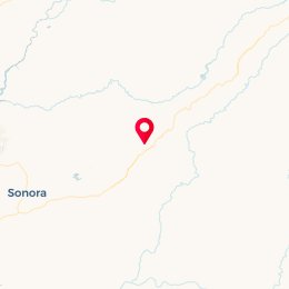 Check-in Location