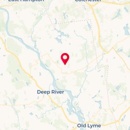 Check-in Location