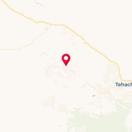 Check-in Location