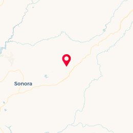 Check-in Location
