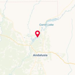 Check-in Location