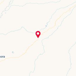Check-in Location