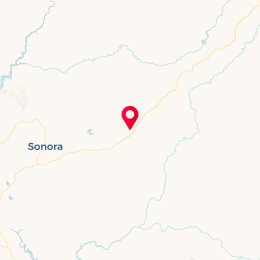 Check-in Location