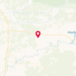 Check-in Location