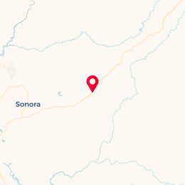 Check-in Location