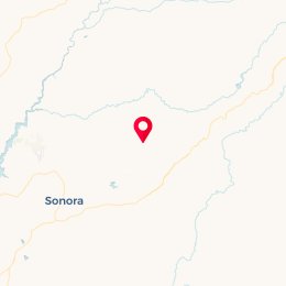 Check-in Location