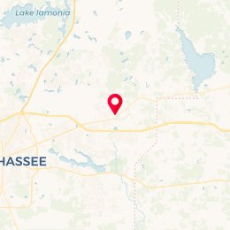Check-in Location
