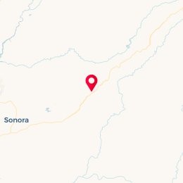 Check-in Location