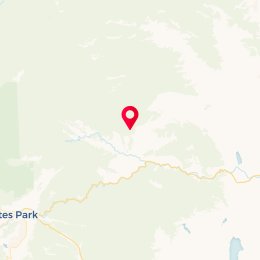 Check-in Location