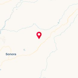 Check-in Location