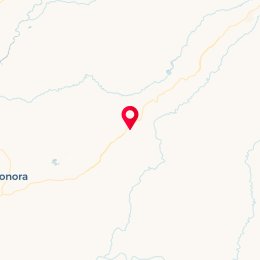 Check-in Location