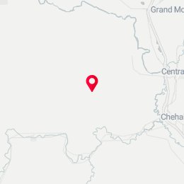 Check-in Location