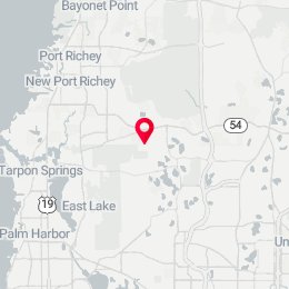 Check-in Location
