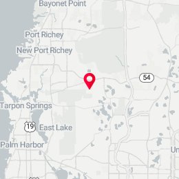 Check-in Location