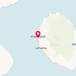 Check-in Location
