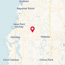 Check-in Location