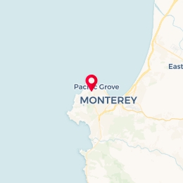 Check-in Location