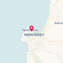 Check-in Location